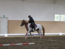 img_6018_web